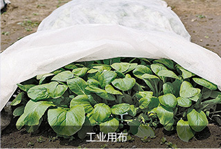 高新技術(shù)企業(yè)認(rèn)定